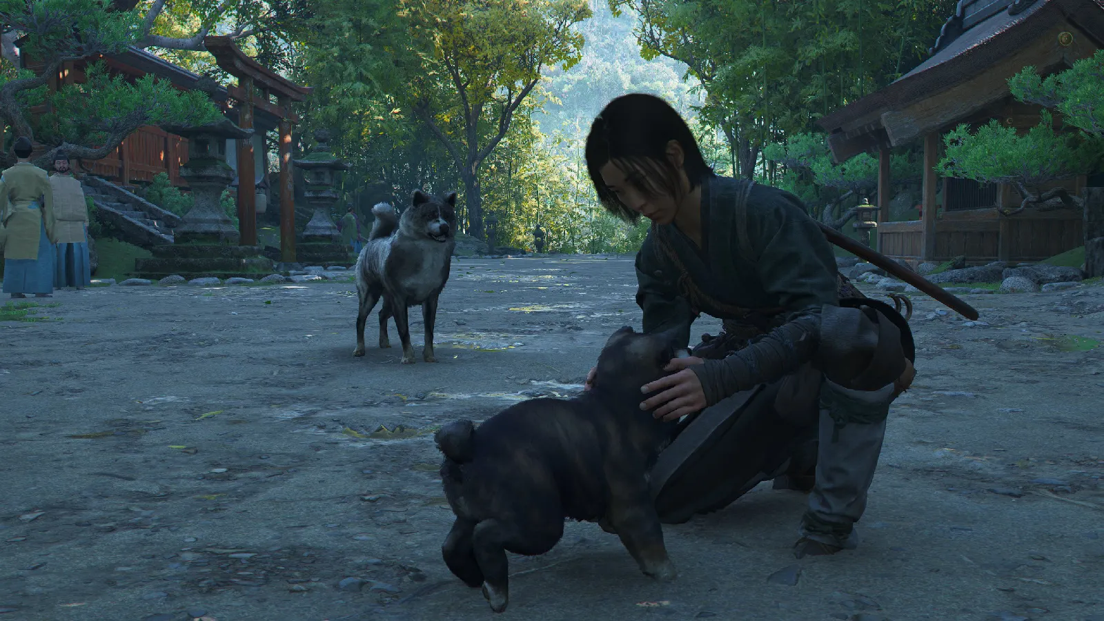 The expressionless face of Naoe while petting doggos is sort of an appropriate visual indicator of the game.